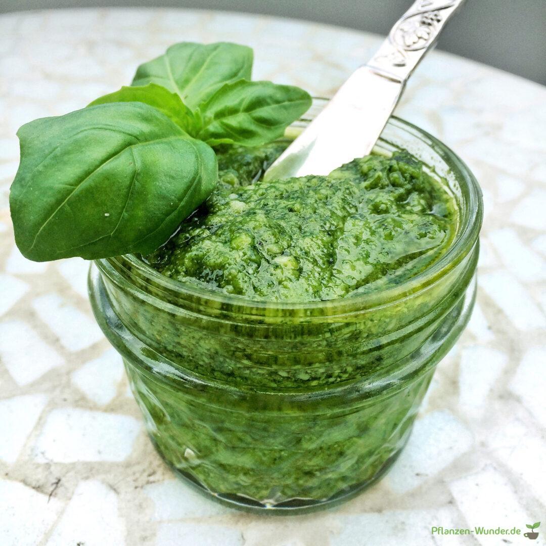 Pesto