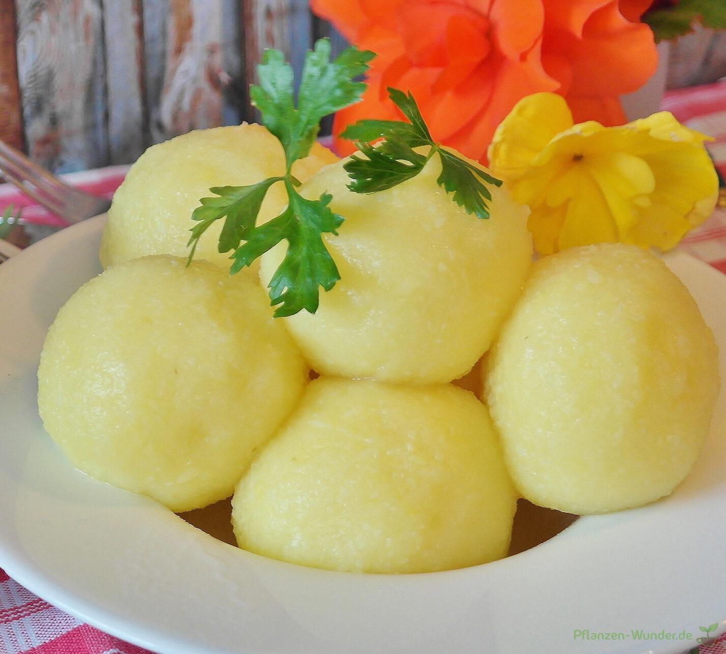 Einfache Kartoffelknödel - Pflanzen-Wunder
