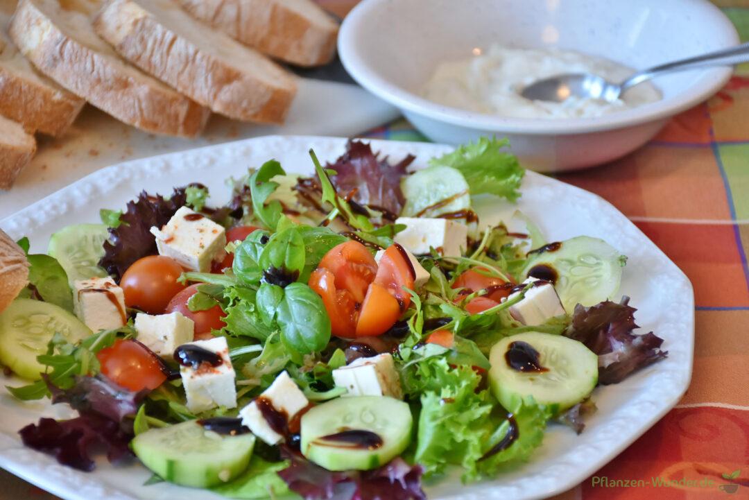 Gemischter Salat mit Balsamico-Senfdressing - Pflanzen-Wunder